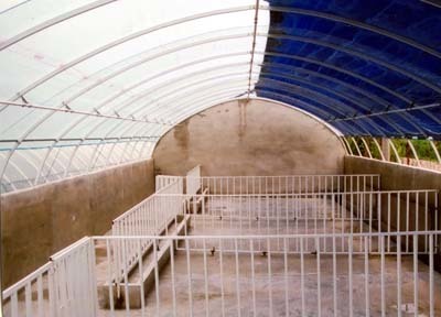 山东地区畜牧温室建设的关键技术与工程设计要点
